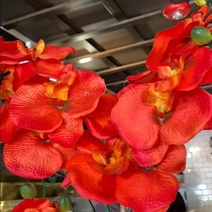 Meet your Posher, Jinhee